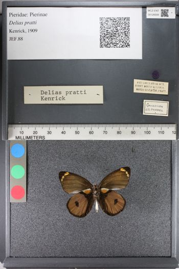 Media type: image;   Entomology 128309